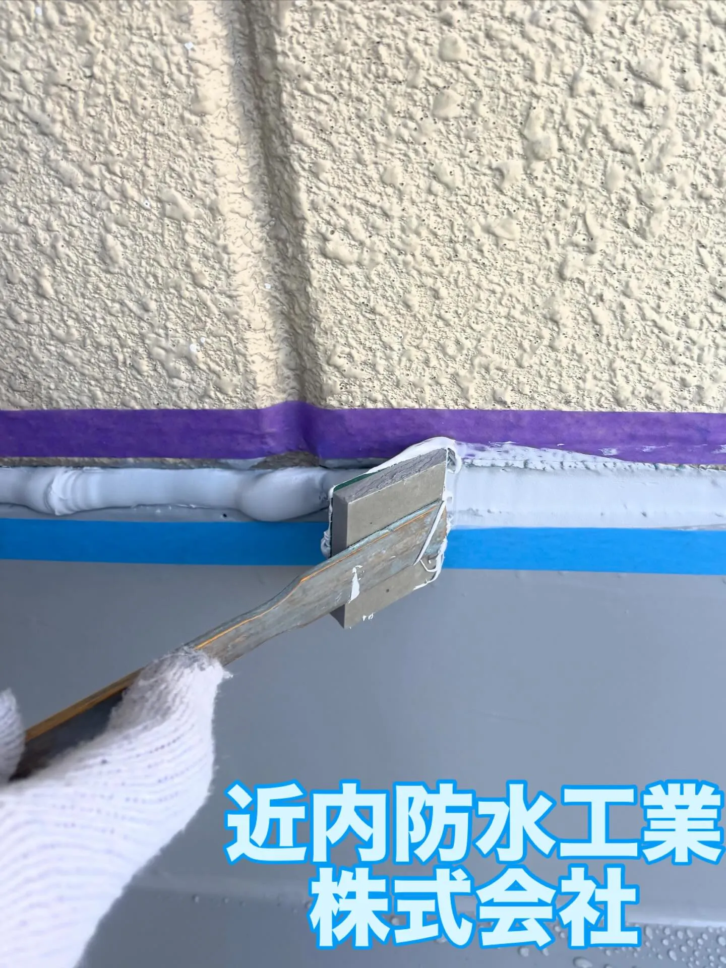 福島県の地域、特にいわき市、郡山市、須賀川市、白河市、石川郡...